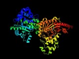 Test d'activité de la créatine kinase