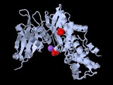 Test d'activité de l'hexokinase