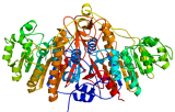 Tests d'activité phosphatase