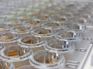 Enzyme Immunoassays for Mycology 