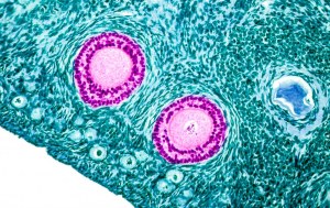 Detection and staining